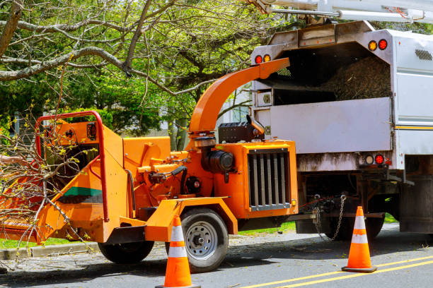 Professional Tree Services in Ellerslie, GA